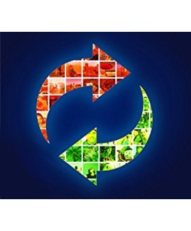 KeyCity.com | Instant delivery - Instant fun!